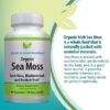Organic Sea Moss - Image 3